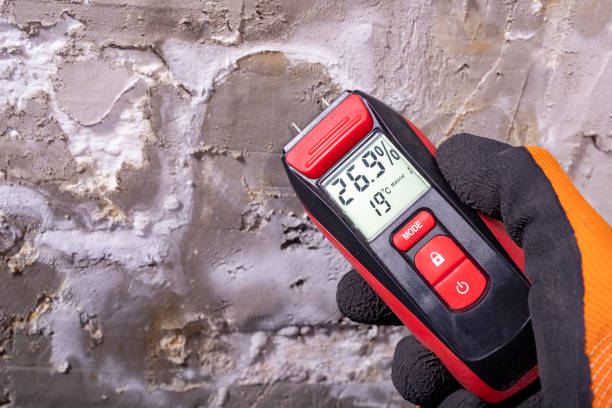Best Local Mold Removal Service  in Lincoln, IL