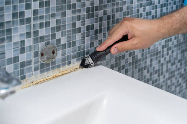 Best Mold Remediation Experts  in Lincoln, IL