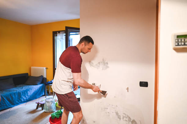 Best Mold Removal and Inspection  in Lincoln, IL